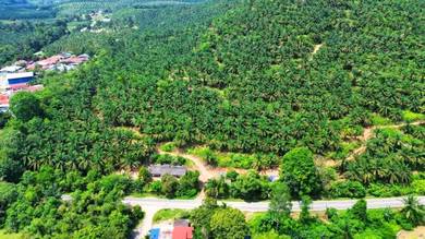 220 Acres Freehold Non Bumi Oil Palm Plantation Sawit Negeri Sembilan