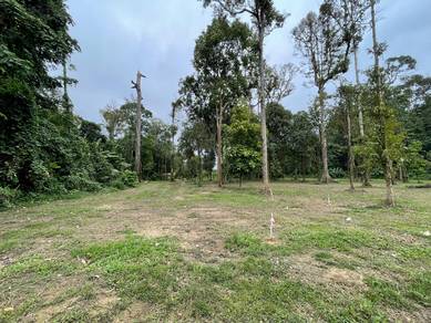 Tanah untuk Disewa