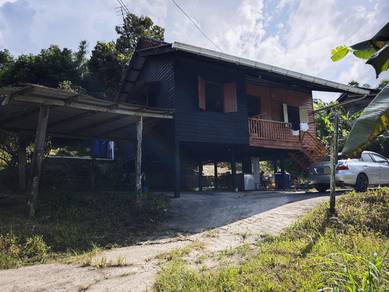 Wood House