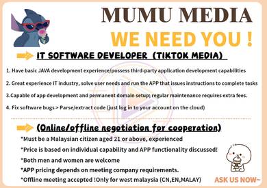 software developer