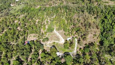 Agricultural-Land-for-sale-Teluk-Kumbar-Penang-2