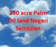 250 acre Palm Oil Land High ROI Negeri Sembilan