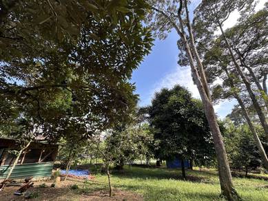 Tanah 1 Ekar Dusun Durian Kampung Sungai Kembong Hilir Bangi Lama