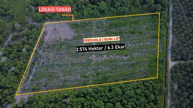 [FREEHOLD] Tanah Pertanian Tanah Merah Penor, Kuantan