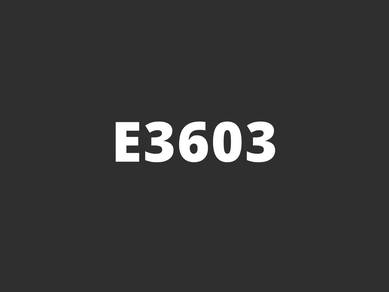 E3603