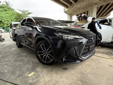 Lexus NX250 2.5 LUXURY Sun Roof H/U Dis 360V