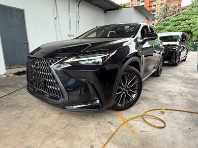 Lexus NX250 2.5 LUXURY Sun Roof H/U Dis 360V