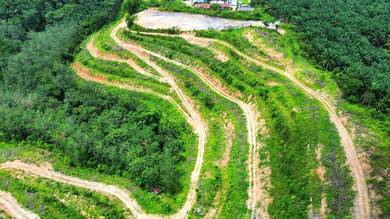 Agricultural-Land-for-sale-Rembau-Negeri-Sembilan