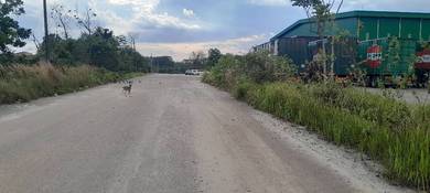 Tanah Seelong/Inter Lot n Freehold/High Value/Industri Berat/ Kontena