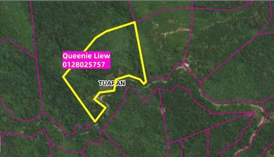 Agricultural-Land-for-sale-Tamparuli-Sabah