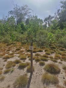 Mixed-Development-Land-for-sale-Papar-Sabah