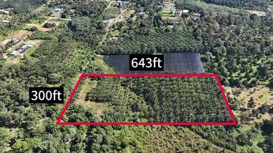 Kebun Sawit 4 Ekar Kg Desa Makmur, Kota Tinggi For Sale
