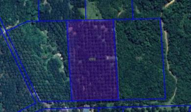Kebun Sawit 6 Ekar Kg Lukut, Kota Tinggi For Sale