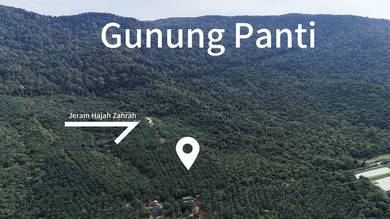 Kebun Sawit 6 Ekar Kg Lukut, Kota Tinggi For Sale