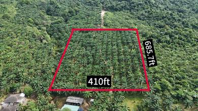 Kebun Sawit 6 Ekar Kg Lukut, Kota Tinggi For Sale