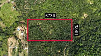 Kebun Sawit 6 Ekar Kg Sungai Sendayan, Kota Tinggi For Sale