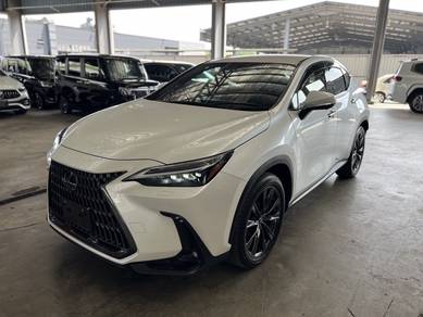 JAPAN UNREG 2023 Lexus NX250 2.5 4CAM DIM BSM HUD