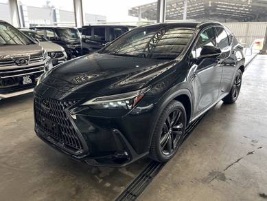 Lexus NX 250 MARK LEVINSON P/ROOF DIM BSM HUD 4CAM