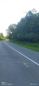 Agriculture Land Jalan Bekenu Kampung Nusah Sibuti