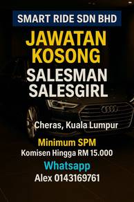 Salesman / Salesgirl Kereta