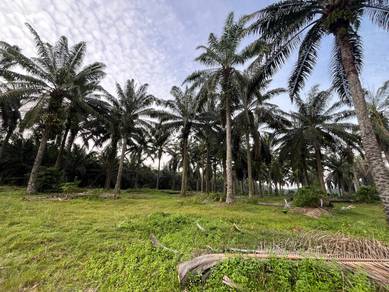 Perak Ayer Tawar 5 Acres Oil Palm Land Freehold 3.9Km To Banks Shops