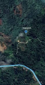 Agricultural-Land-for-sale-Tamparuli-Sabah