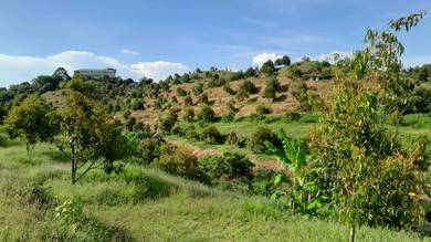 Agricultural-Land-for-sale-Rembau-Negeri-Sembilan