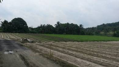 Kuang Jalan Stesen Agricultural Land for sale