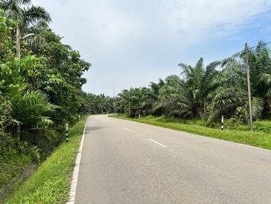 Freehold Agriculture Land For Sale At Kepis,Dangi,Bahau,Kuala Pilah,NS