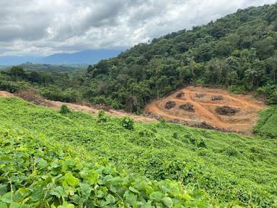 Agricultural-Land-for-sale-Rembau-Negeri-Sembilan