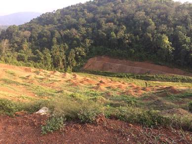 ROAD ACCESS | 4.4 Acre Agricultural Land Mukim Chengkau, Rembau, N9