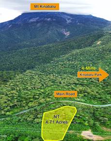Bundu Tuhan Kundasang NT 4.71 Acres | Mt Kinabalu View | Near Road