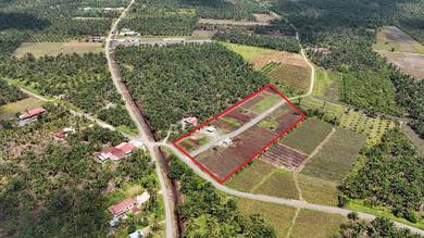 Agricultural-Land-for-sale-Senggarang-Johor