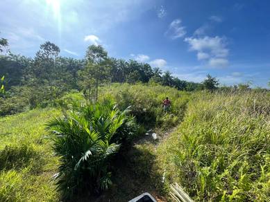 Agricultural-Land-for-rent-Tawau-Sabah