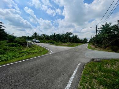 Agricultural-Land-for-sale-Johor-Bahru-Johor