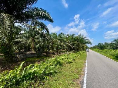 Agricultural-Land-for-sale-Johor-Bahru-Johor-2