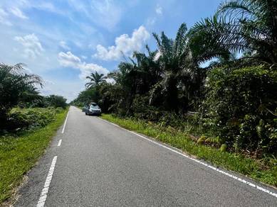 Agricultural-Land-for-sale-Johor-Bahru-Johor-3
