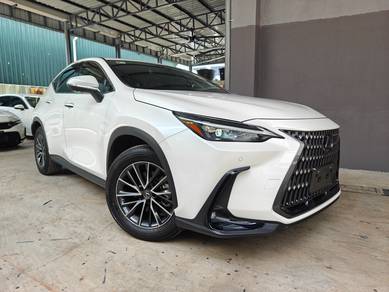 Lexus NX 250 2.5 Base 4Cam DIM HUD R/Leather