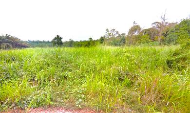 Kampung Sungai Lalang Semenyih Industrial / Agricultural Land For Rent