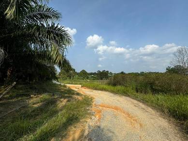 Sungai Tiram 59 Acre Zoning Industrial Land Freehold Ulu Tiram