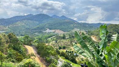 Freehold Agri-Land for Sale @ Bentong, Pahang