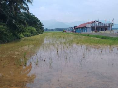 Agricultural-Land-for-sale-Sungai-Petani-Kedah