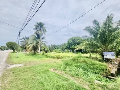 (FACING MAIN ROAD)Tanah Pertanian Parit Samsu Jalan Temenggong Ahmad