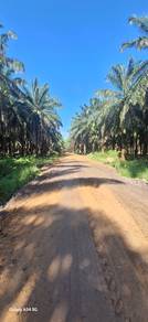 Agricultural Land / District of Kinabatangan / 792 acres/ Sandakan