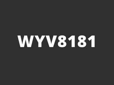 WYV8181