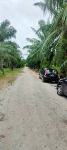 1 Ekar Malay Reserve Kelapa Sawit Pancang Bedena Sg Besar Sabak Benam