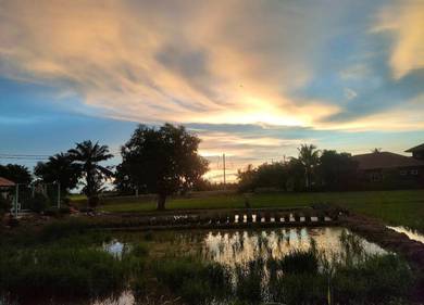 2.60 Ekar Tanah Sawah FH Malay Rizab Parit 11 Sg Panjang Sabak Bernam
