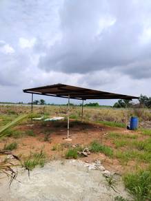 2 acres Pandan Coconut Farm with Fencing Leasehold Kota Tinggi