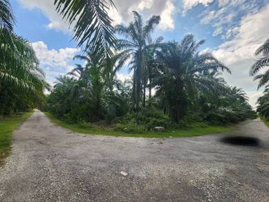TERMURAH & CHEAPEST!! Tanah 10 EKAR di Jugra, Banting, Selangor!!