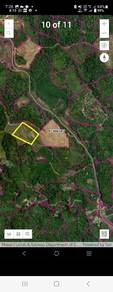 Agricultural-Land-for-sale-Keningau-Sabah